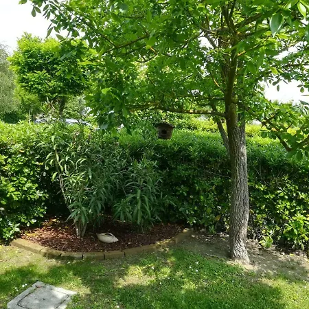 Casetta Altanea: Giardino & Piscina *